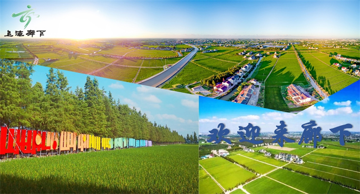 上海金山區(qū)廊下/都市中央廚房食品產(chǎn)業(yè)園寫字樓招商動態(tài)，揭示食品產(chǎn)業(yè)鏈發(fā)展新趨勢